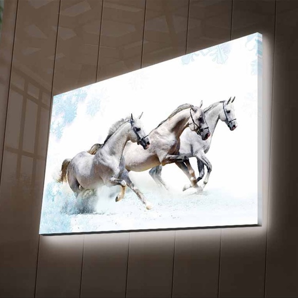 Canvas art print
